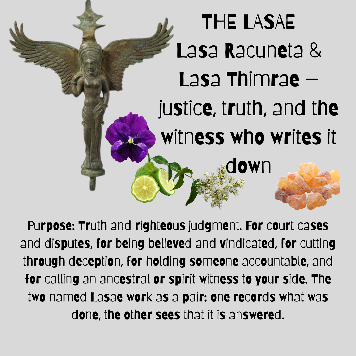 THE LASAE