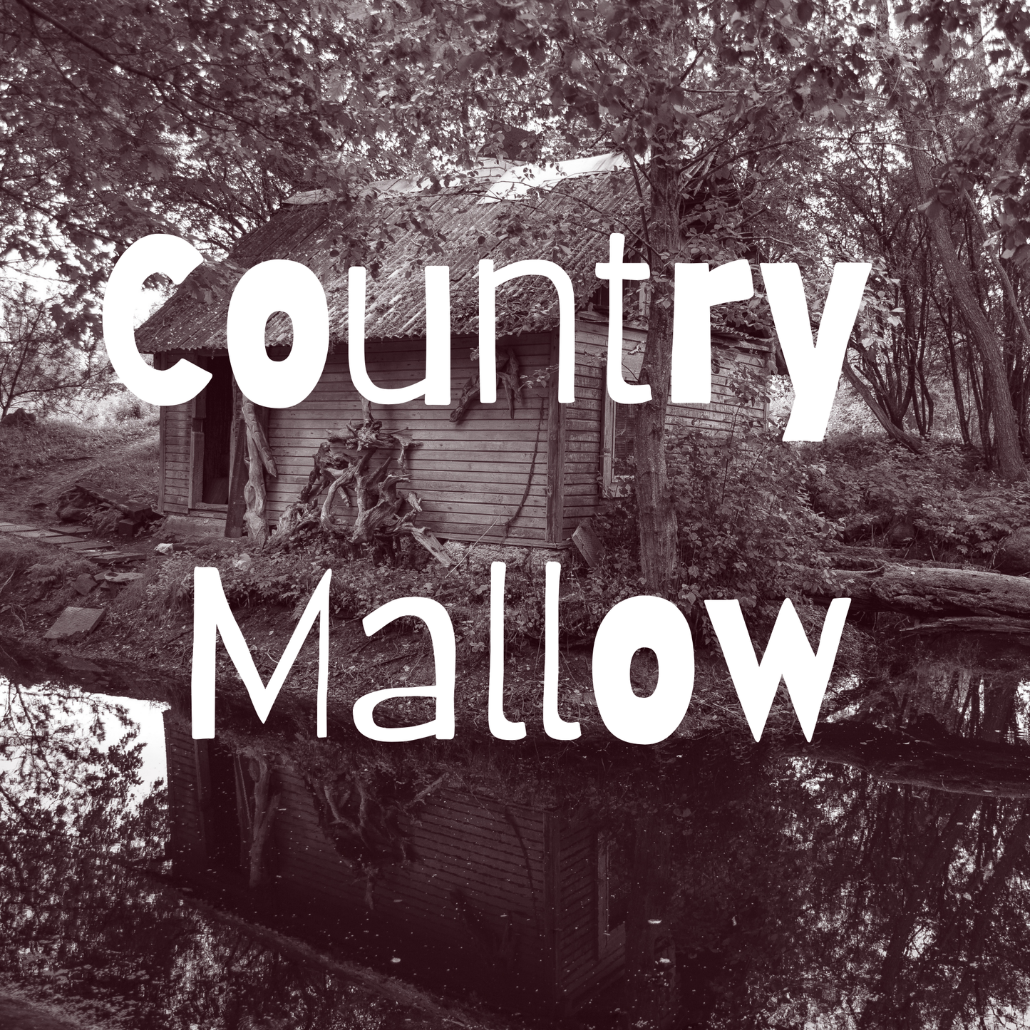 Country Mallow