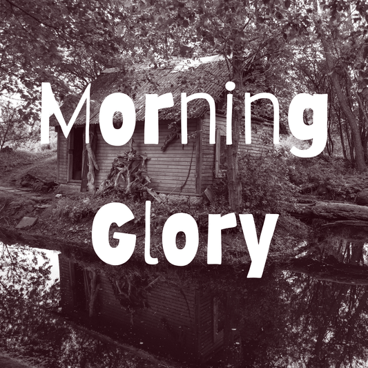 Morning Glory